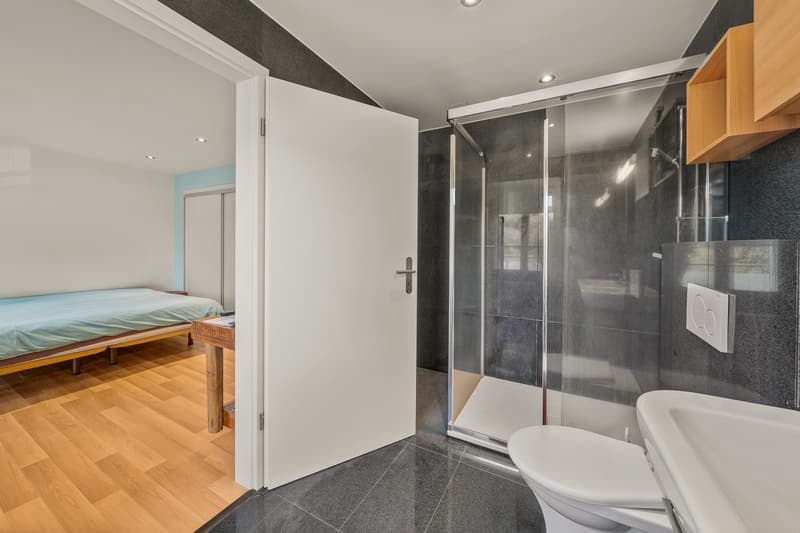 Magnifique maison individuelle dans un quartier calme et résidentiel (12)