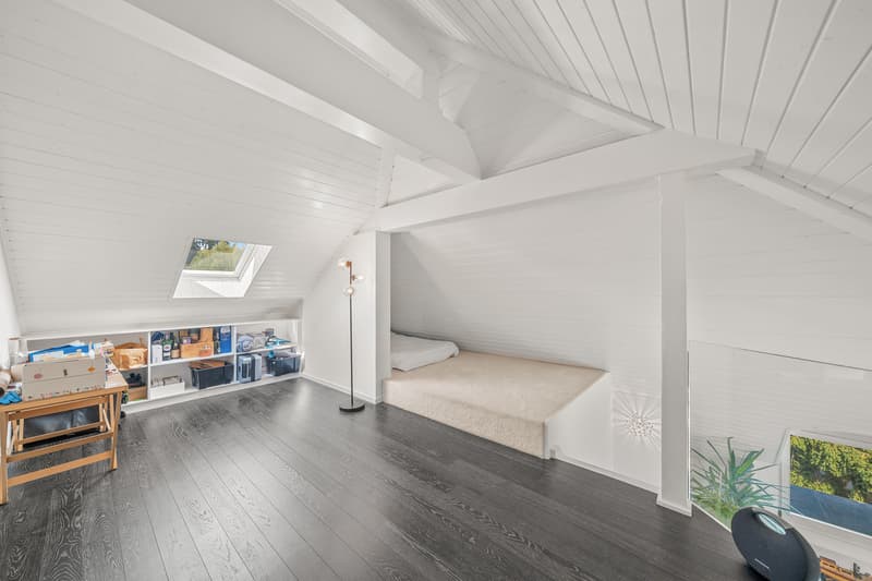 Superbe duplex alliant confort, vue lac et situation privilégiée (11)