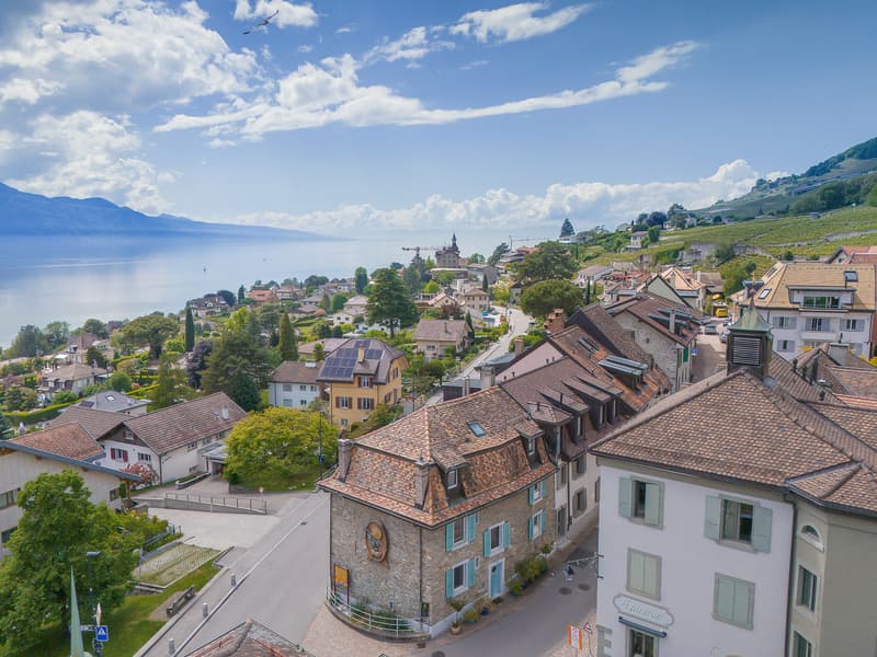 Maison vigneronne d'exception au coeur du vieux bourg avec vue lac (1)