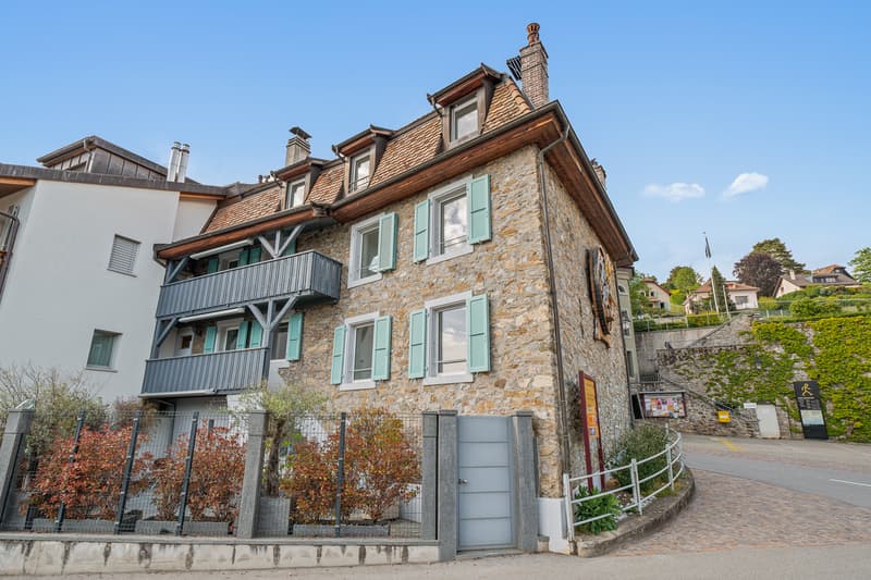 Maison vigneronne d'exception au coeur du vieux bourg avec vue lac (2)