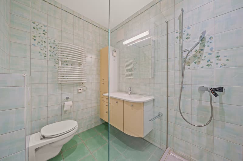 Un balcon sur le Léman - Spacieux 5,5 pièces de 166 m² (13)