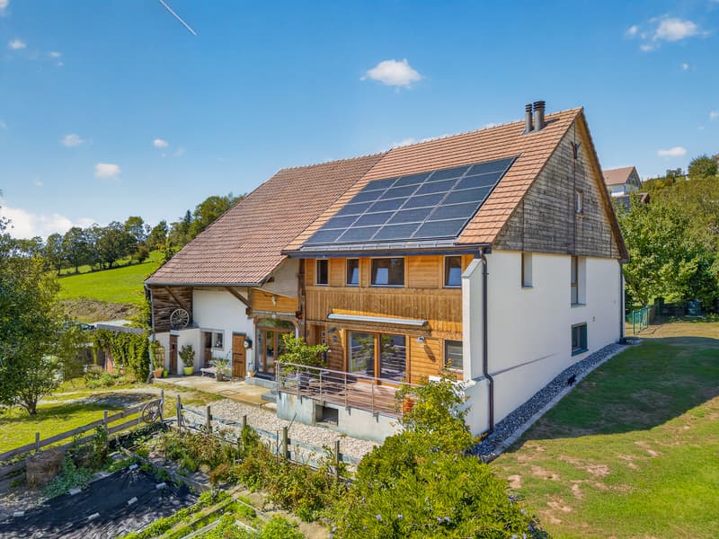 Splendide ferme rénovée offrant un espace de calme et de sérénité (1)