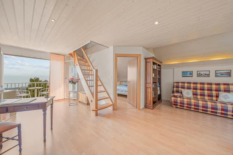 Villa d'architecte - un havre de paix dominant le lac Léman (12)
