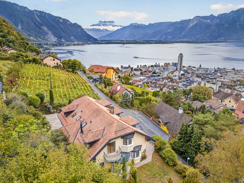 Spacieux + espace/ atelier privatif Vue - calme - Foreigners sale (13)