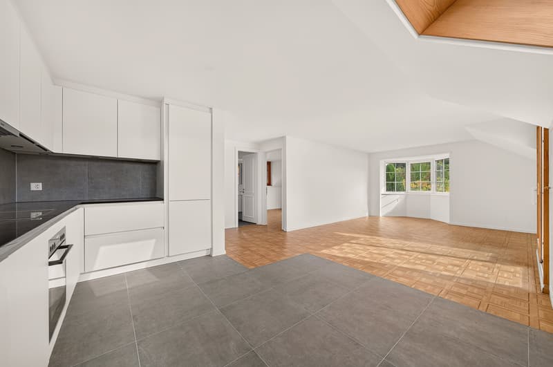 Spacieux + espace/ atelier privatif Vue - calme - Foreigners sale (4)