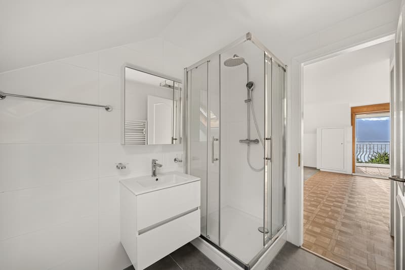 Spacieux 2.5 pces -/ 3.5 pces  Vue - tranquilité- Foreigners sale (6)