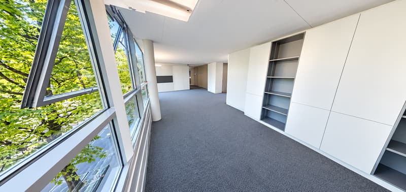 Attraktive Gewerbefläche im zentralen Zürich-Altstetten (4)