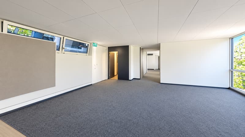 Attraktive Gewerbefläche im zentralen Zürich-Altstetten (2)