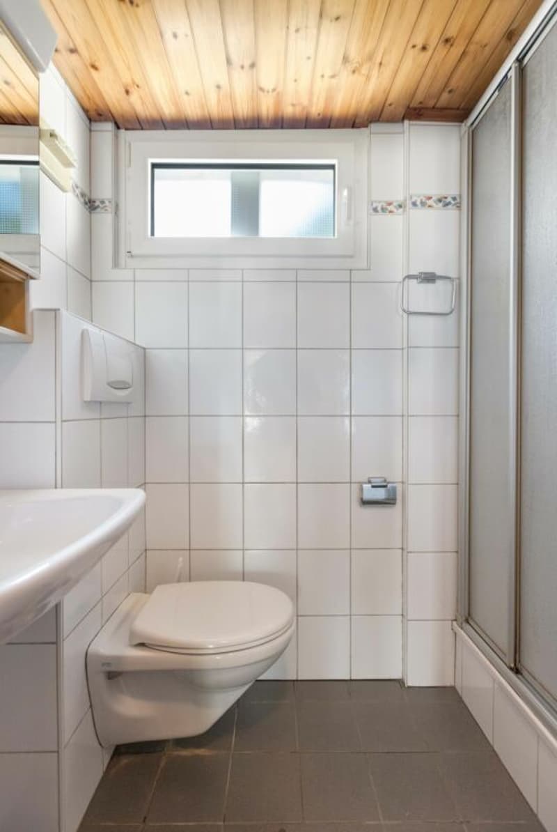Charmantes Doppeleinfamilienhaus mit grosszügigem Garten in Diesbach (6)