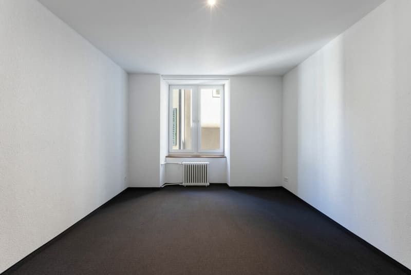 Moderne 2.5-Zimmer Stadtwohnung an zentraler Lage (4)
