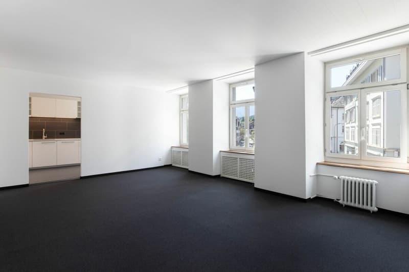 Moderne 2.5-Zimmer Stadtwohnung an zentraler Lage (1)