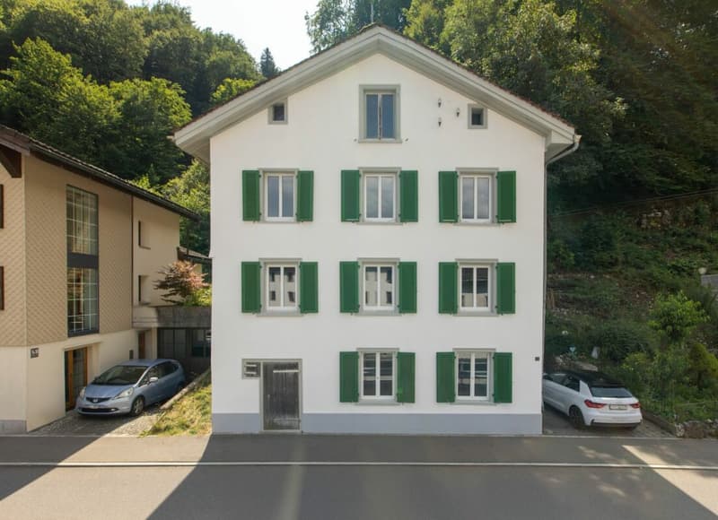 Grosszügiges Einfamilienhaus an naturnaher Lage (1)