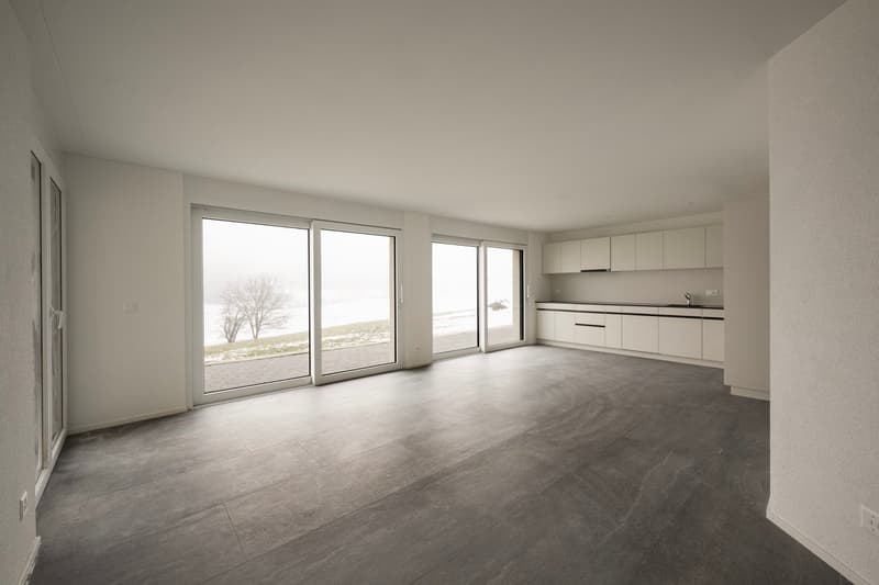 tiled floor, large sliding glass doors, open kitchen, modern design