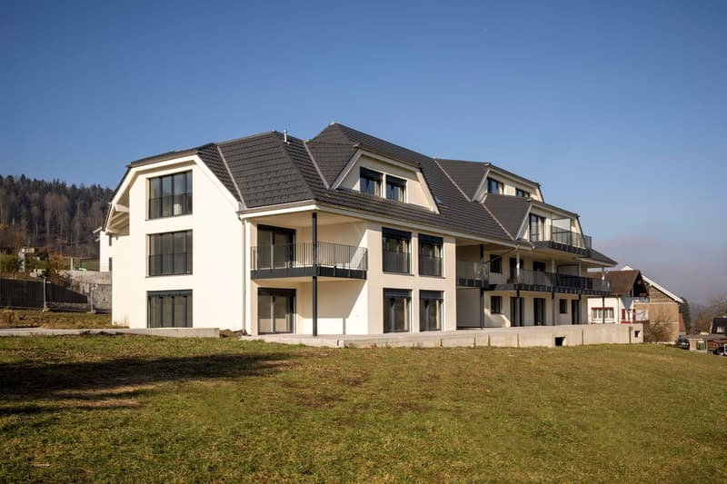 Ihr neues Zuhause in Bottenwil: 4.5-Zimmer-Maisonette mit Loggia und Weitblick ins Grüne (1)