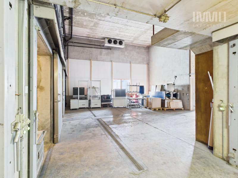 Halle dépôt avec chambres frigorifiques et deux studios (9)