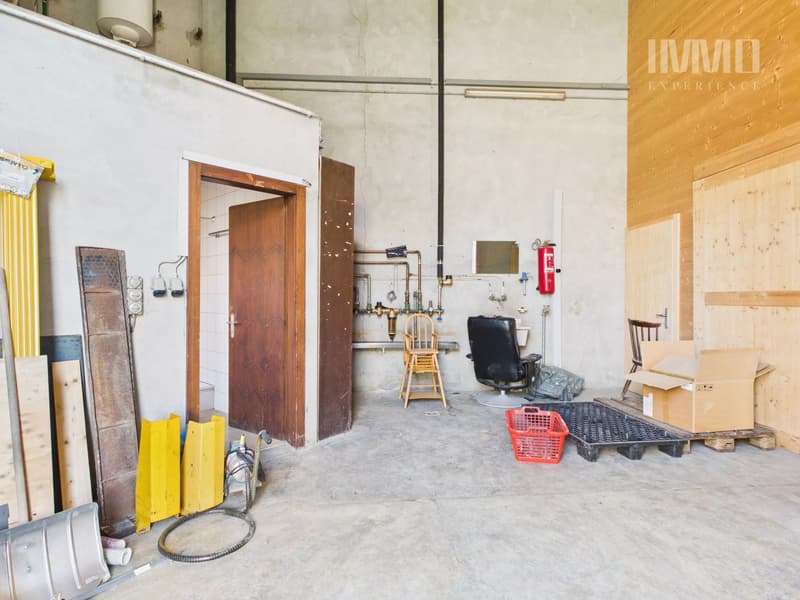Halle dépôt avec chambres frigorifiques et deux studios (5)