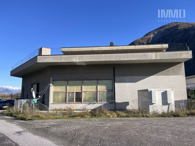 Halle dépôt avec chambres frigorifiques et deux studios (2)