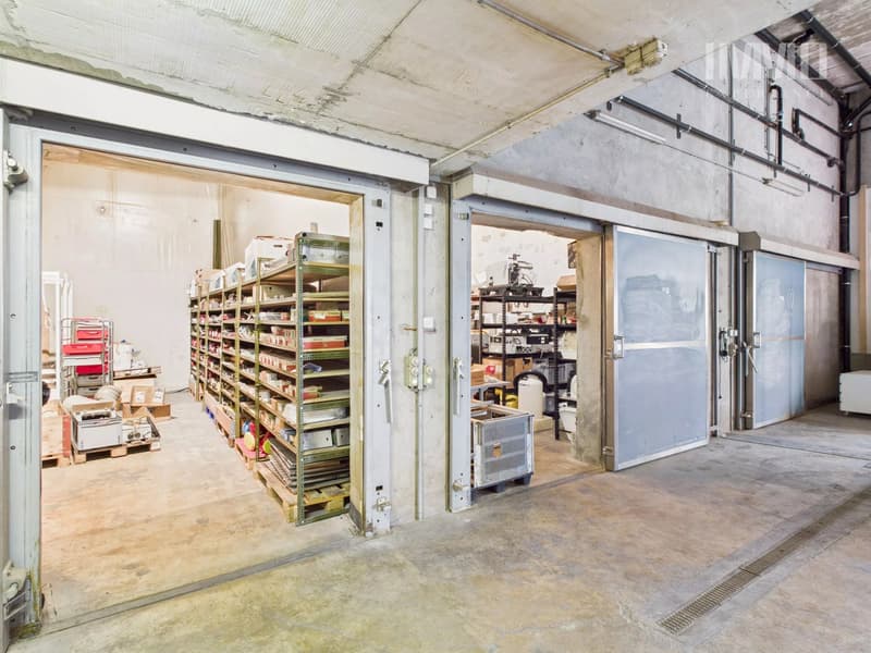 Halle dépôt avec chambres frigorifiques et deux studios (7)