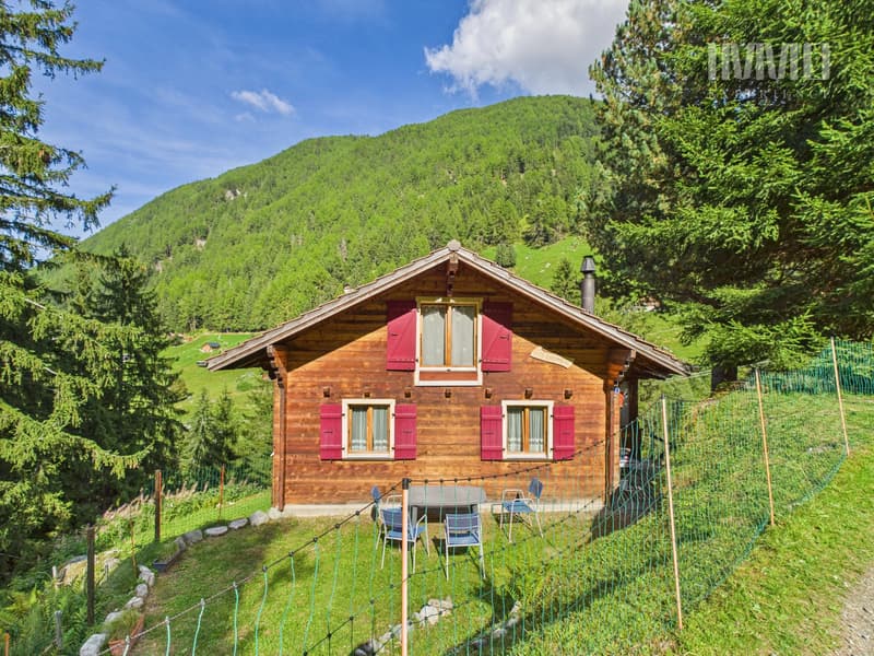 Chalet à Haute-Nendaz "Le Lavantier" - Un havre de paix en pleine nature : (2)