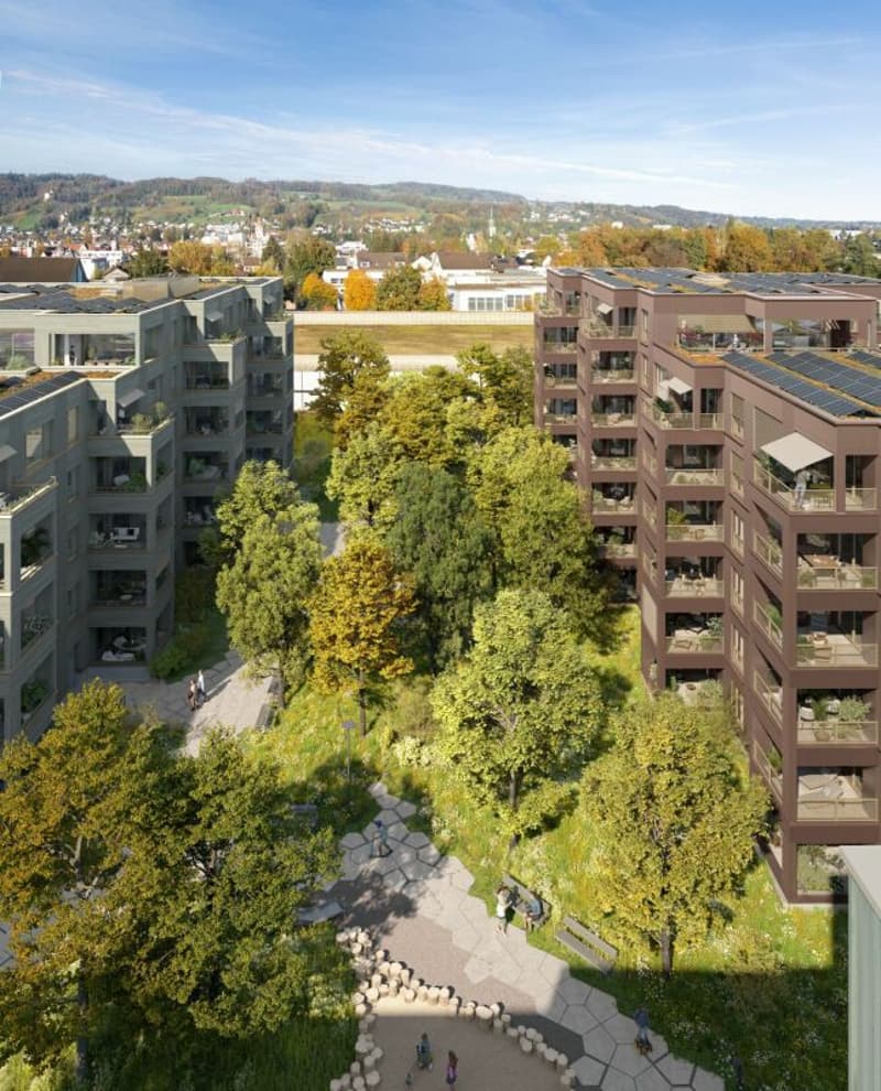 3.5-Zimmer-Neubauwohnung in ruhigem Wohnquartier (4)