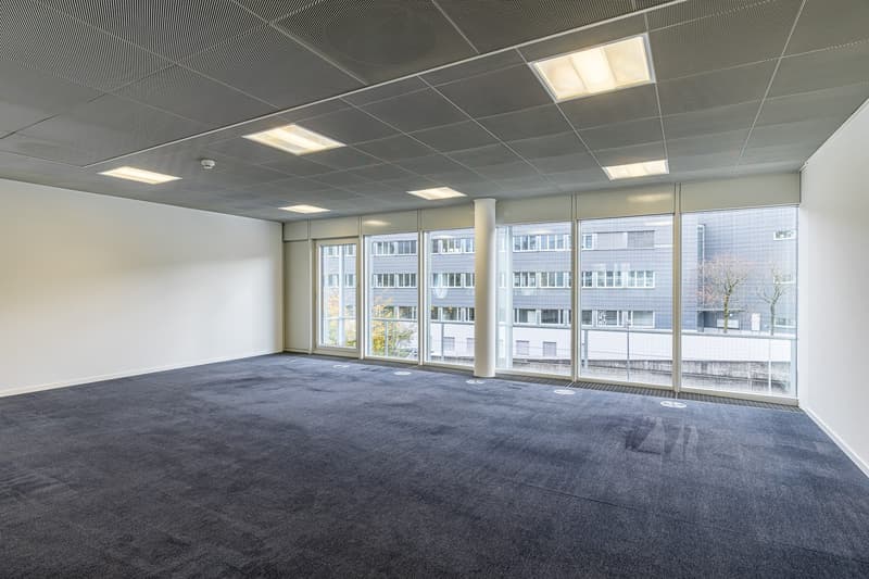 empty room, gray flooring, large windows, white walls