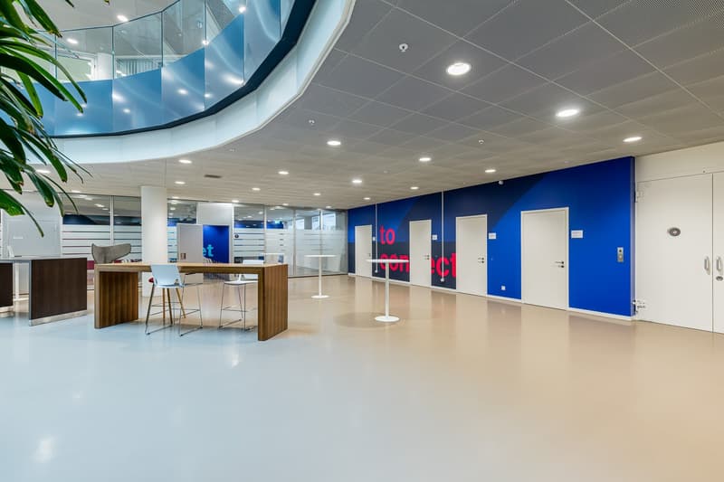 Open office layout with desks, chairs, blue walls, gray ceiling, and large windows.
