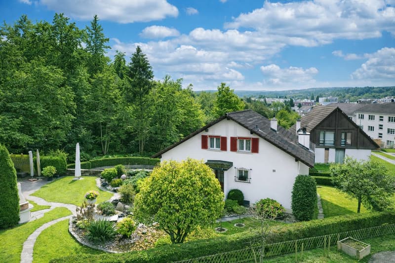 Wohntraum mit Zukunft – 1'027 m² voller Möglichkeiten (4)