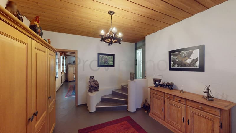 Wohntraum mit Zukunft – 1'027 m² voller Möglichkeiten (22)