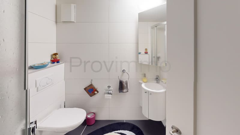 Wohntraum mit Zukunft – 1'027 m² voller Möglichkeiten (27)