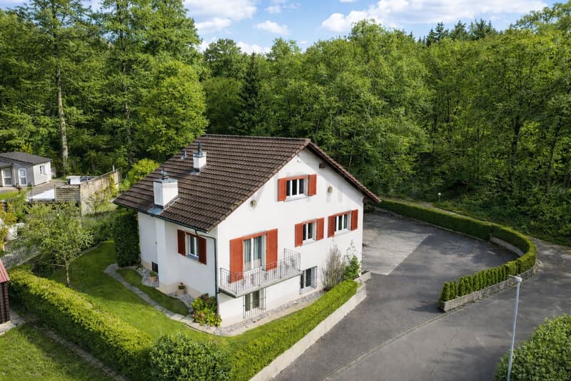 Wohntraum mit Zukunft – 1'027 m² voller Möglichkeiten (2)