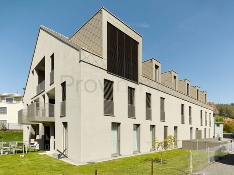 4.5-Zimmer Dachwohnung in Niedergösgen SO (2)