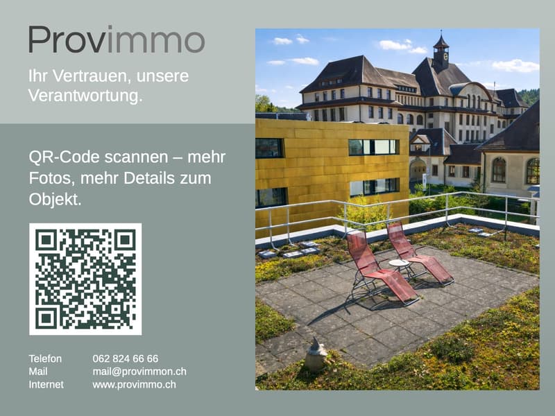 Kernsanierte Wohnung im Herzen von Aarau (13)