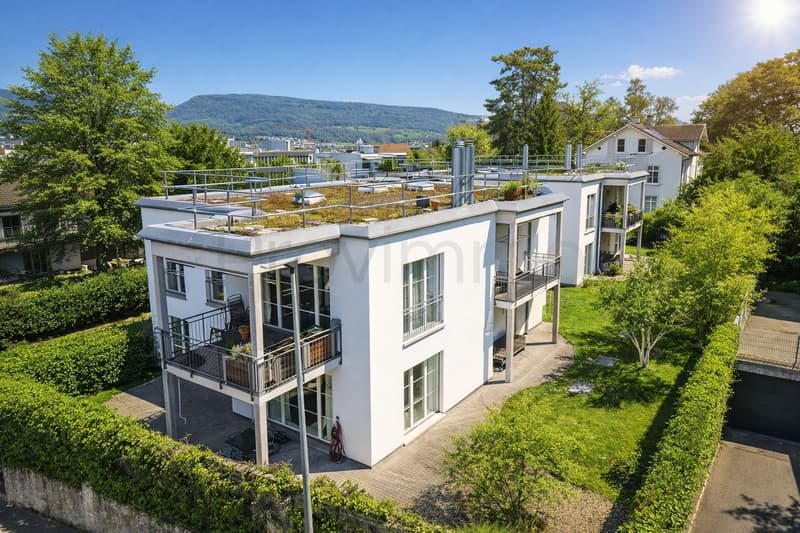 Kernsanierte Wohnung im Herzen von Aarau (1)