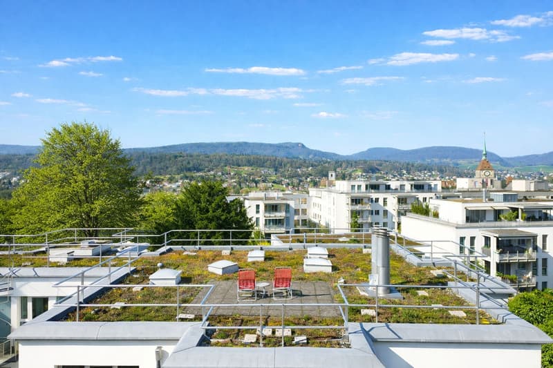 Kernsanierte Wohnung im Herzen von Aarau (6)