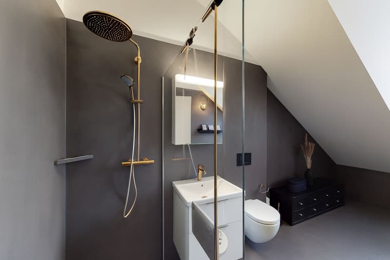 Grosszügige 4.5-Zimmer-Dachwohnung mit 18 m² Terrasse (8)