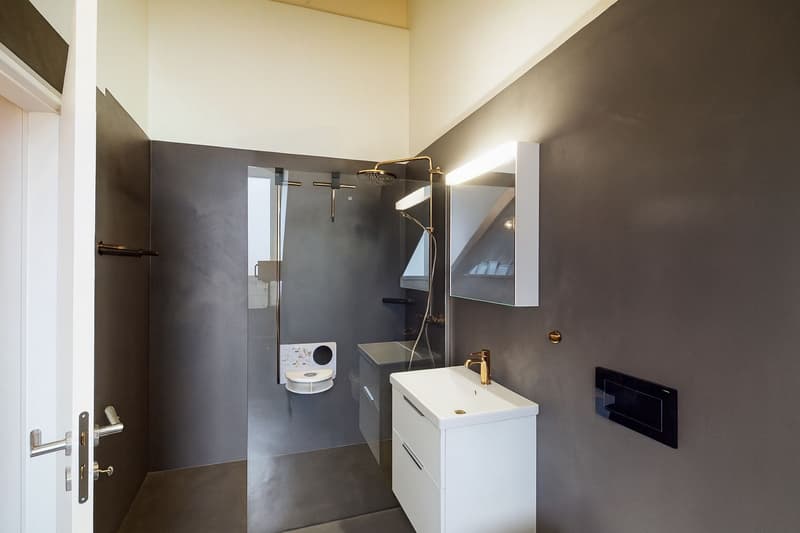 Grosszügige 4.5-Zimmer-Dachwohnung mit 18 m² Terrasse (9)