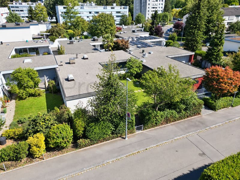 Ruhig wohnen und zentral leben – Einfamilienhaus in Aarau (3)