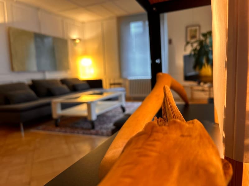 Möblierte 2.5-Zimmer Wohnung | Temporäre Mietdauer (5)