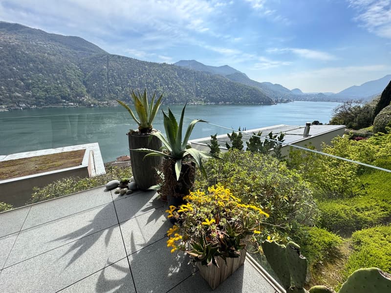 Splendido appartamento di 3,5 locali con vista lago giardino e piscina (8)