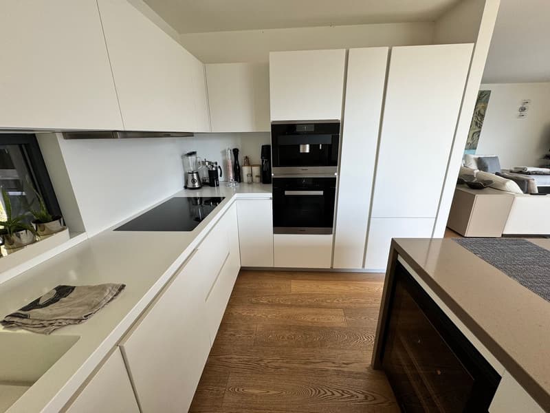 Splendido appartamento di 3,5 locali con vista lago giardino e piscina (12)