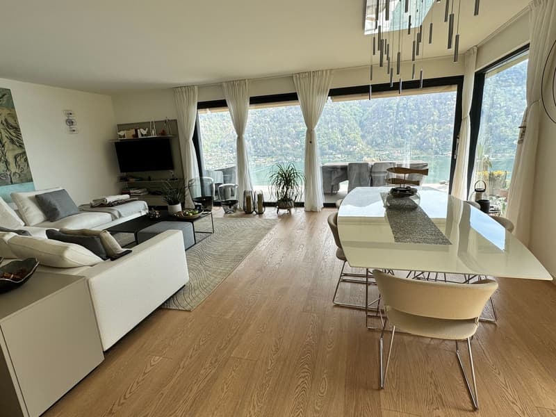 Splendido appartamento di 3,5 locali con vista lago giardino e piscina (10)