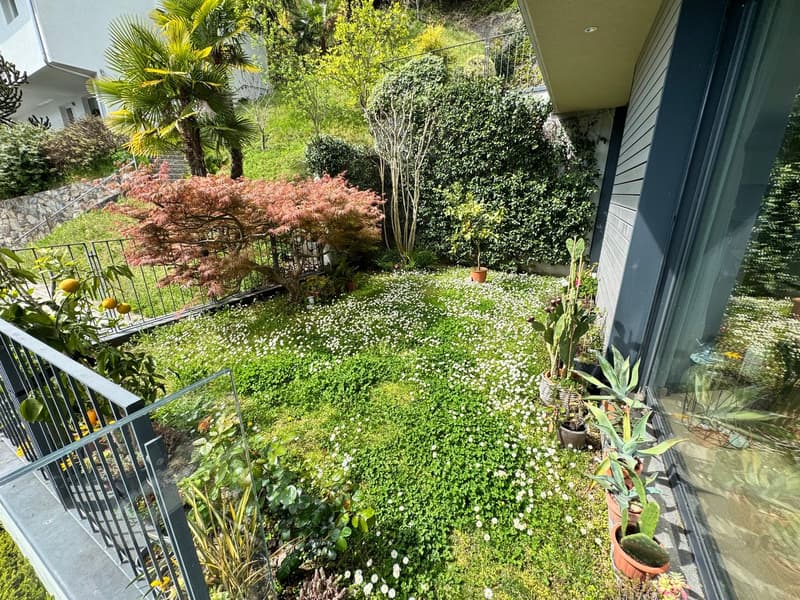 Splendido appartamento di 3,5 locali con vista lago giardino e piscina (20)