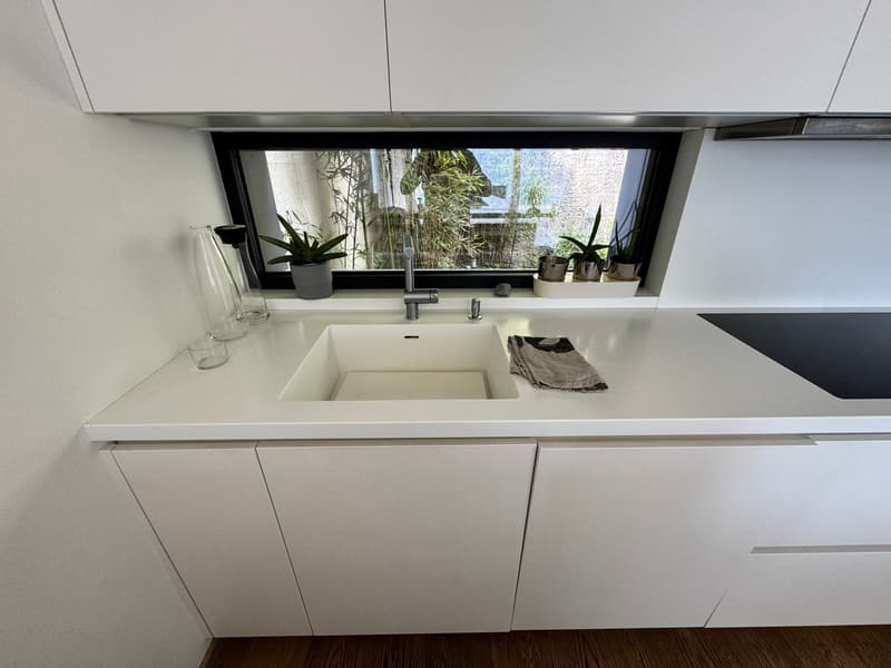 Splendido appartamento di 3,5 locali con vista lago giardino e piscina (14)