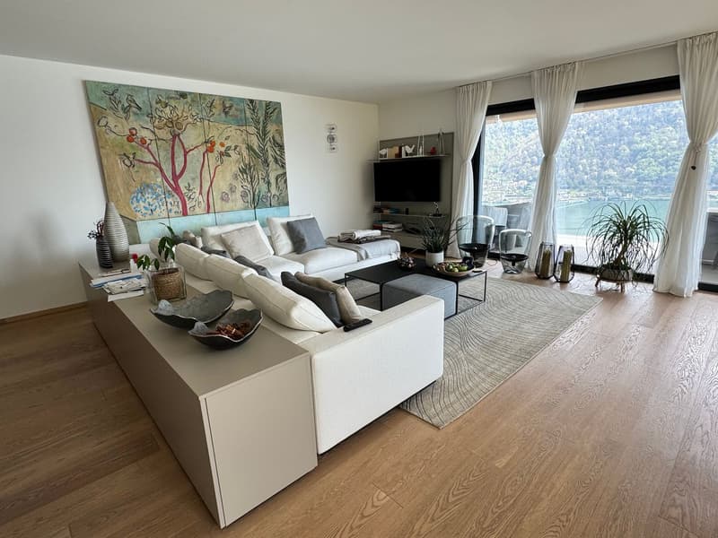 Splendido appartamento di 3,5 locali con vista lago giardino e piscina (11)