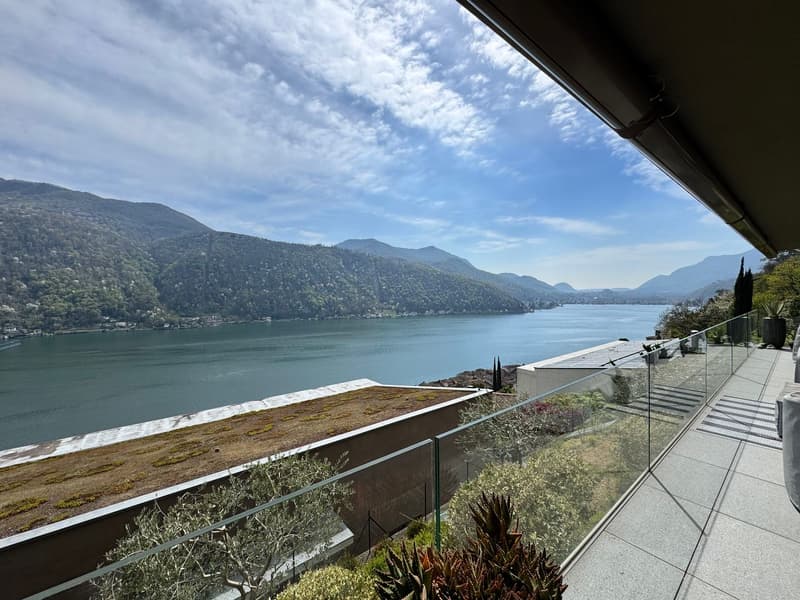 Splendido appartamento di 3,5 locali con vista lago giardino e piscina (6)