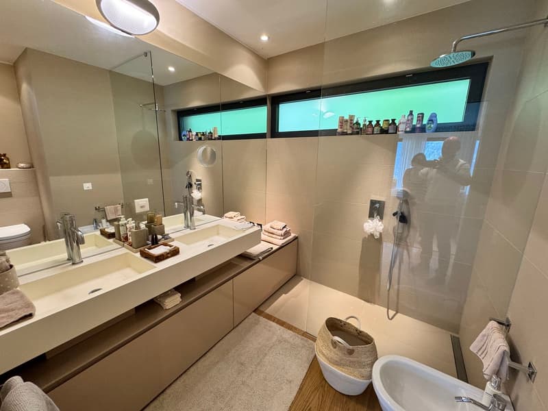 Splendido appartamento di 3,5 locali con vista lago giardino e piscina (18)