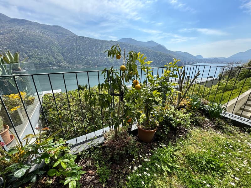 Splendido appartamento di 3,5 locali con vista lago giardino e piscina (19)