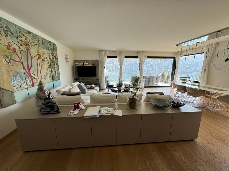 Splendido appartamento di 3,5 locali con vista lago giardino e piscina (15)