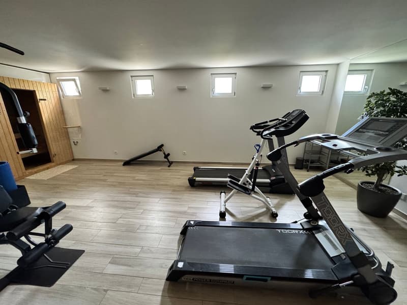 Splendido appartamento di 3,5 locali con vista lago giardino e piscina (21)