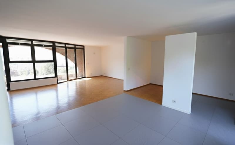 Gentilino – casa incantevole con ampio giardino (10)